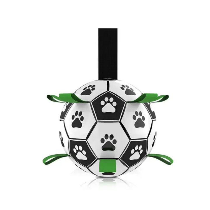 Interactive Soccer Brain Game for Dogs - My Store