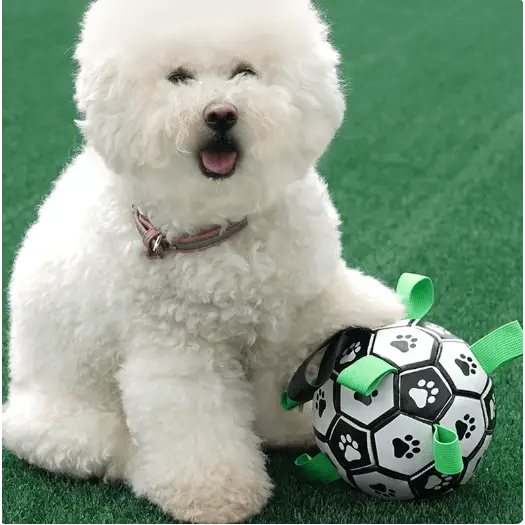 Interactive Soccer Brain Game for Dogs - My Store