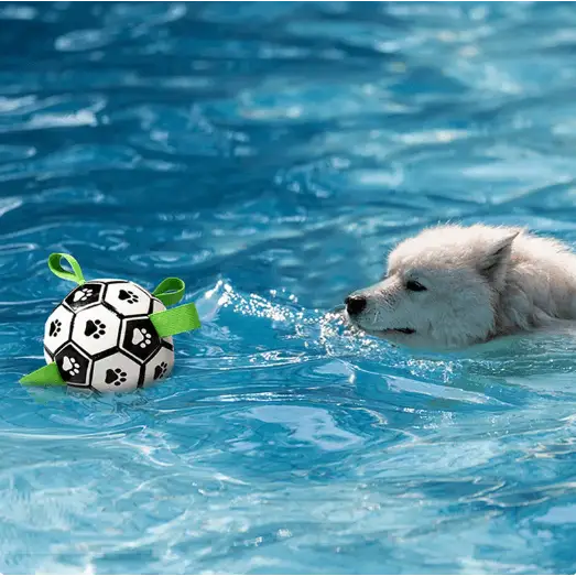 Interactive Soccer Brain Game for Dogs - My Store