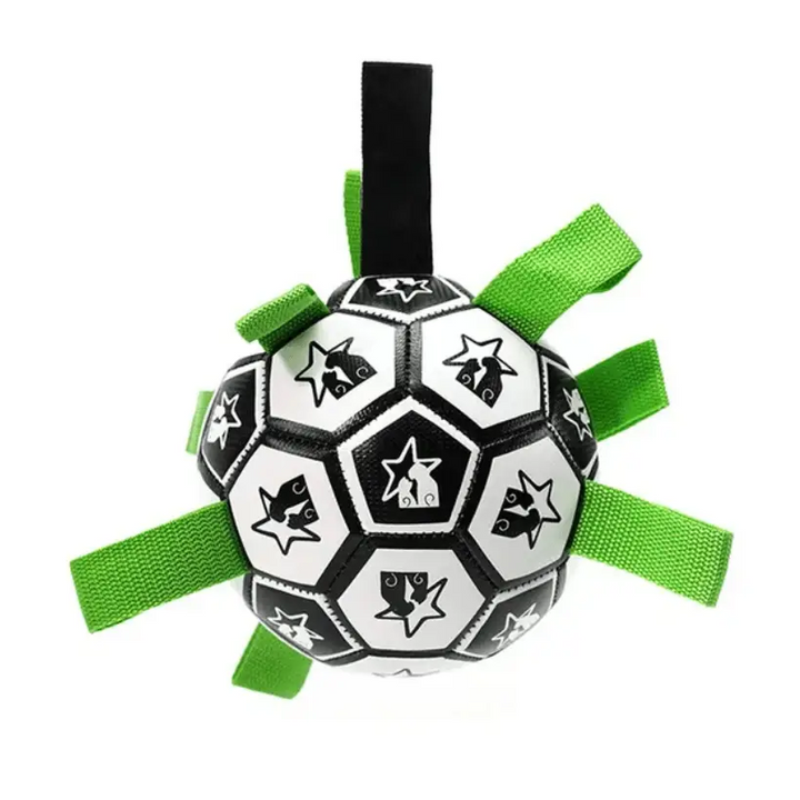 Interactive Soccer Brain Game for Dogs - My Store